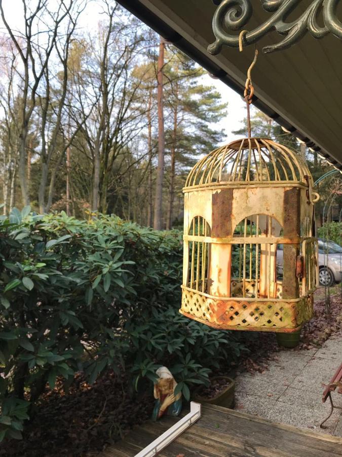 Chalet Sint Barbara Zutendaal Zewnętrze zdjęcie