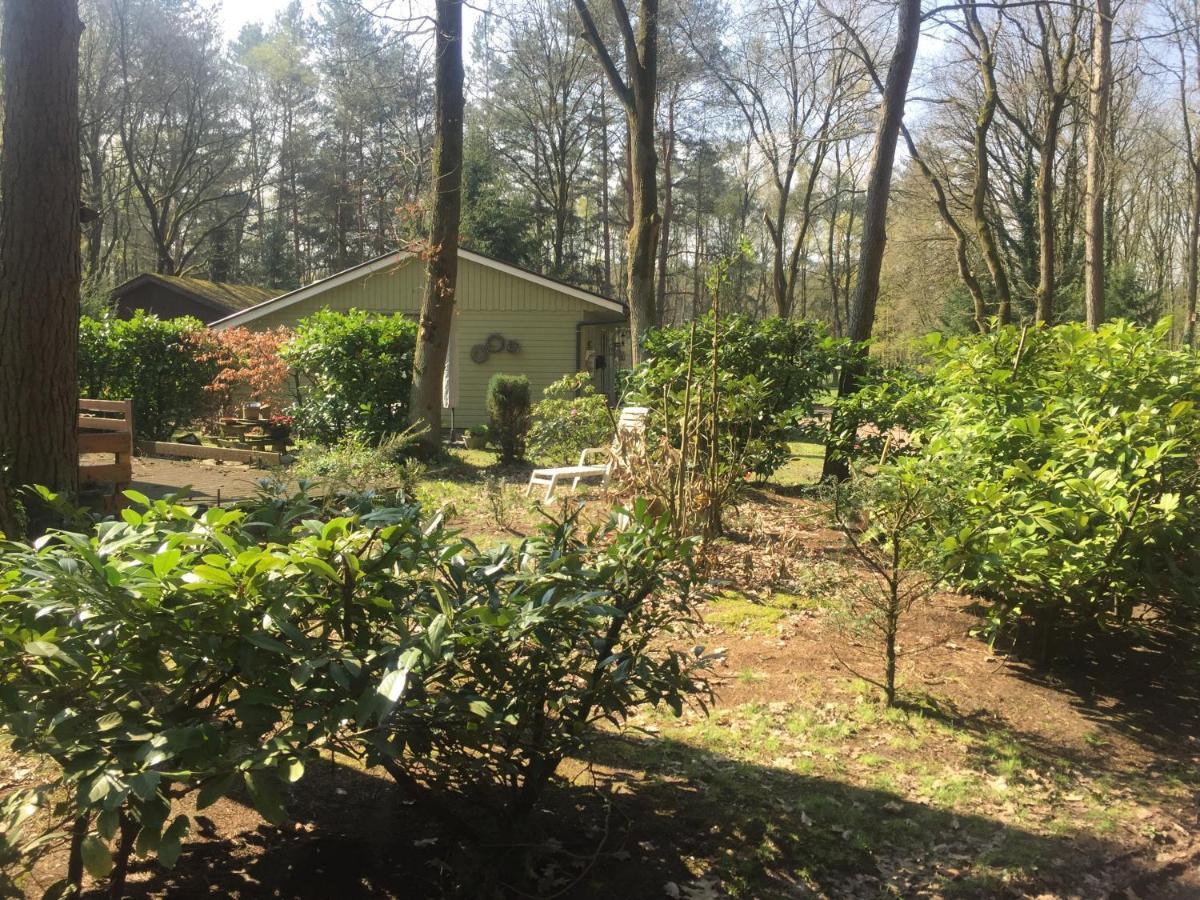 Chalet Sint Barbara Zutendaal Zewnętrze zdjęcie